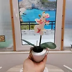 Maristella בית הארחה 3*